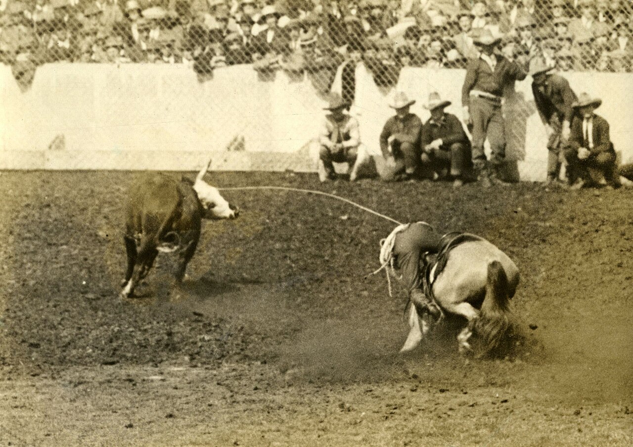 综合体育·球场看台实景